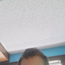 Xavier