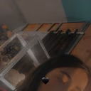 Paloma