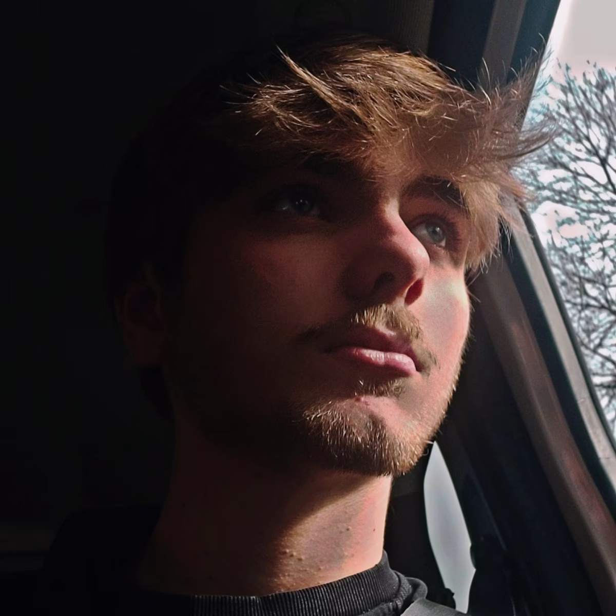 Photo de nolan