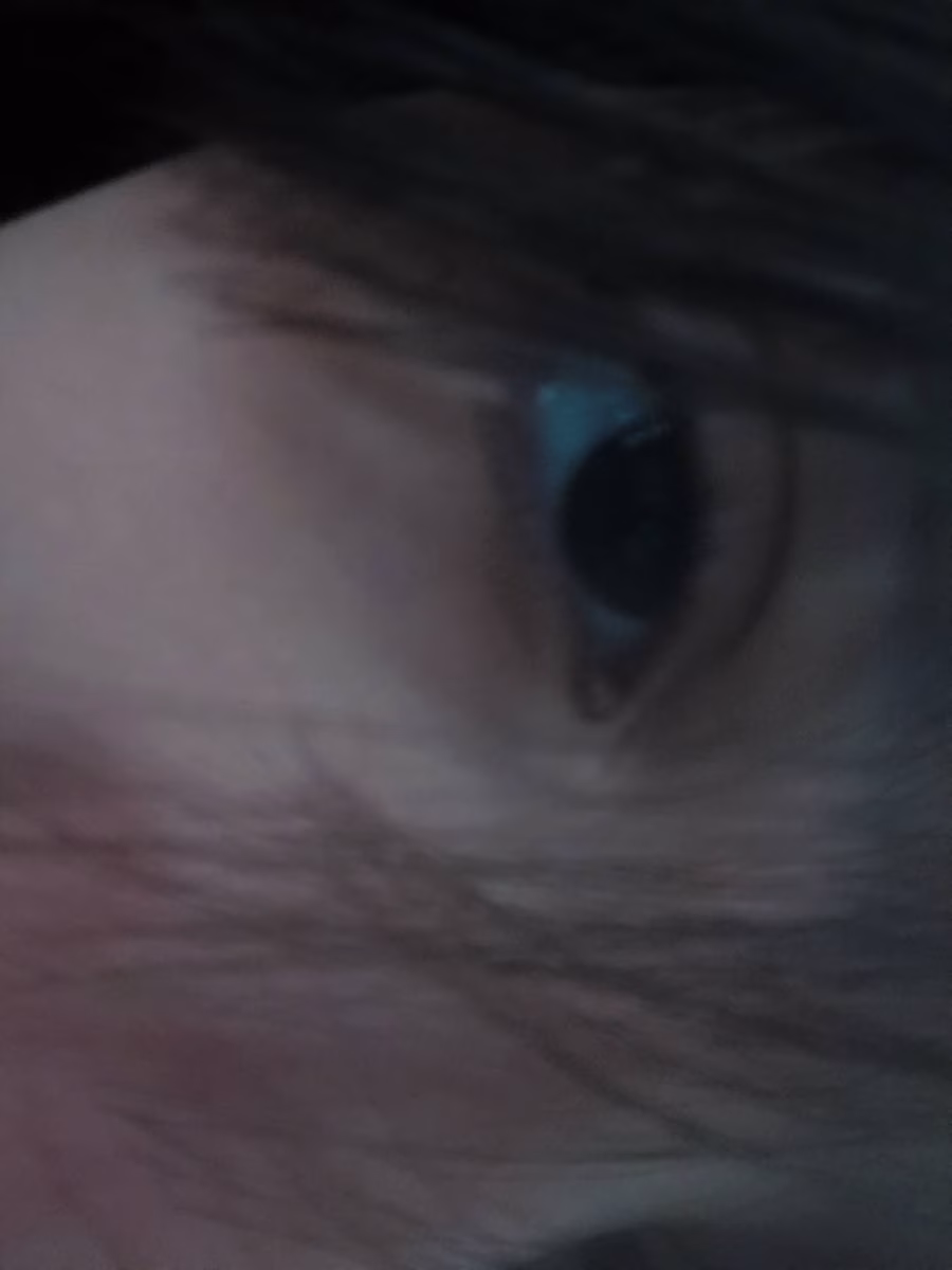 Photo de Sasha