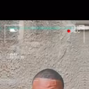 Clarkjunior