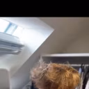Paul