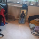 Les