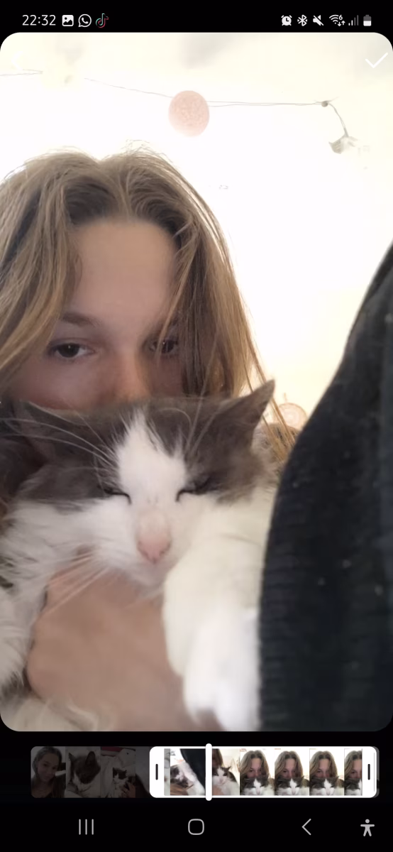 Photo de Steacy