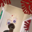 Gab