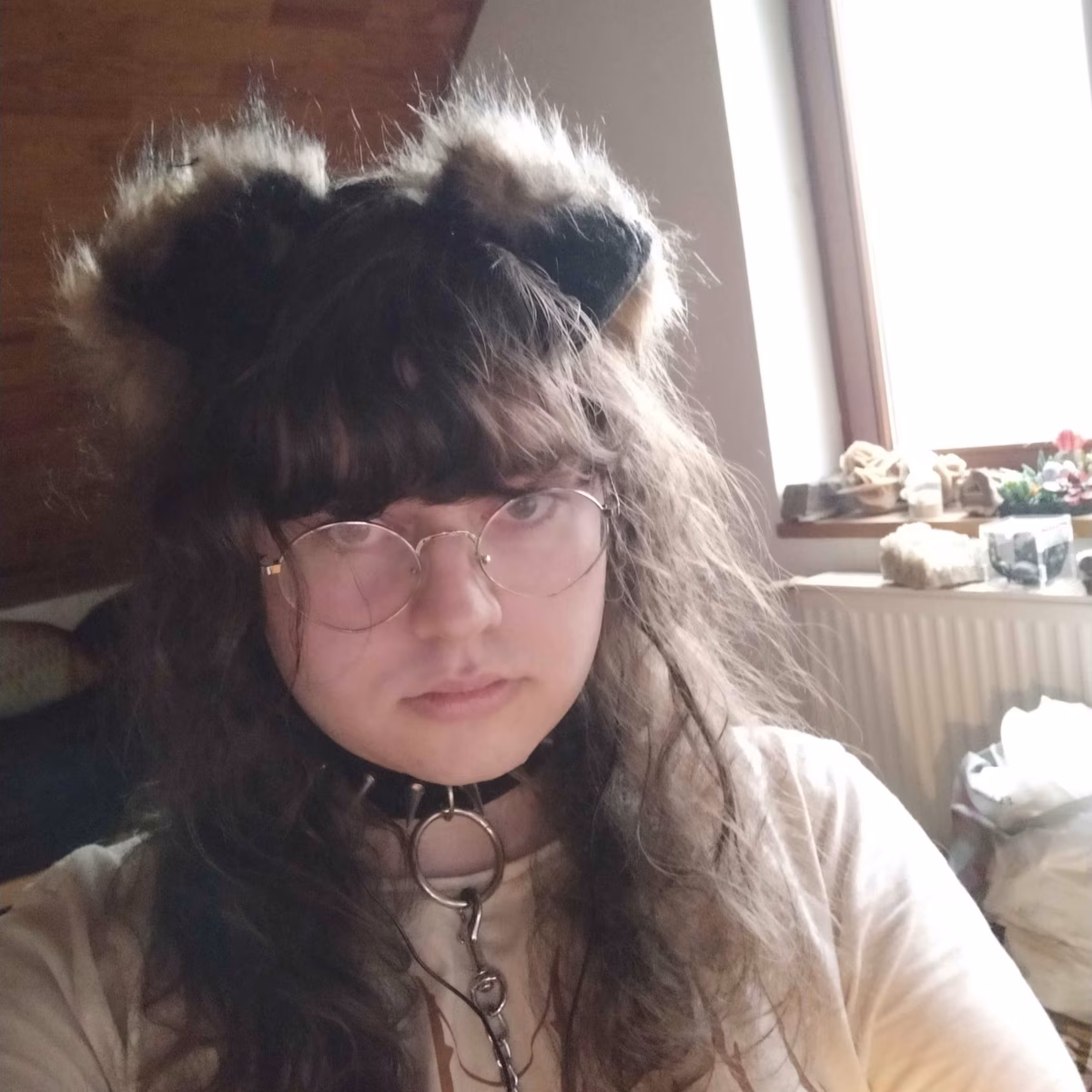Photo de Fillechien