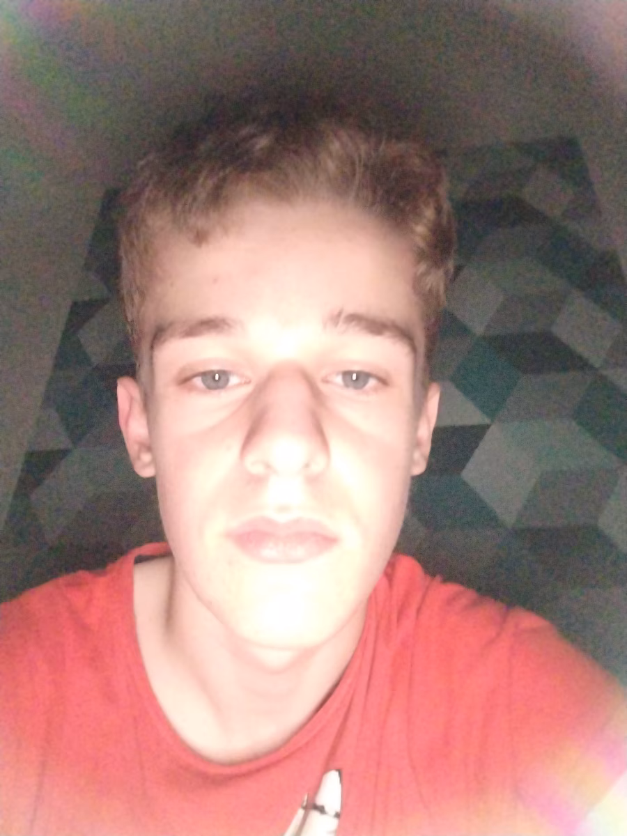 Photo de Dodo