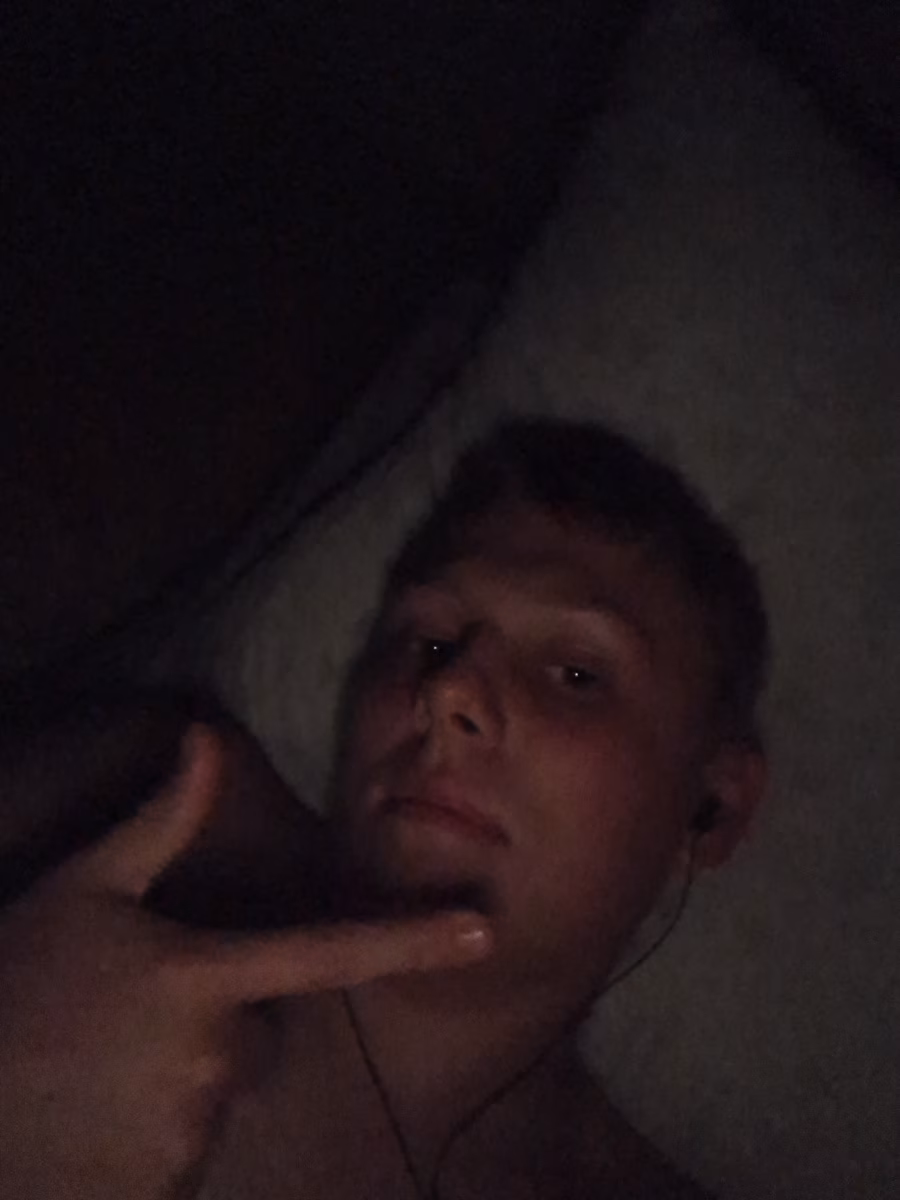 Photo de Teddy