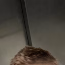 Jules
