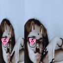 Lys
