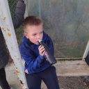 Linooo