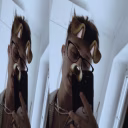 Baptiste