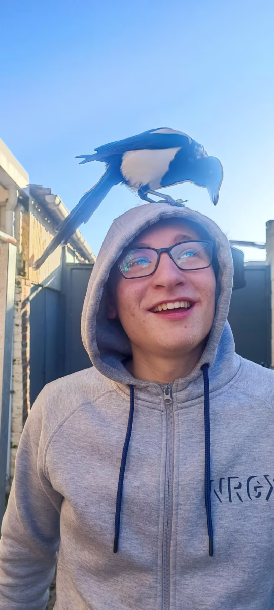 Photo de Raphaël