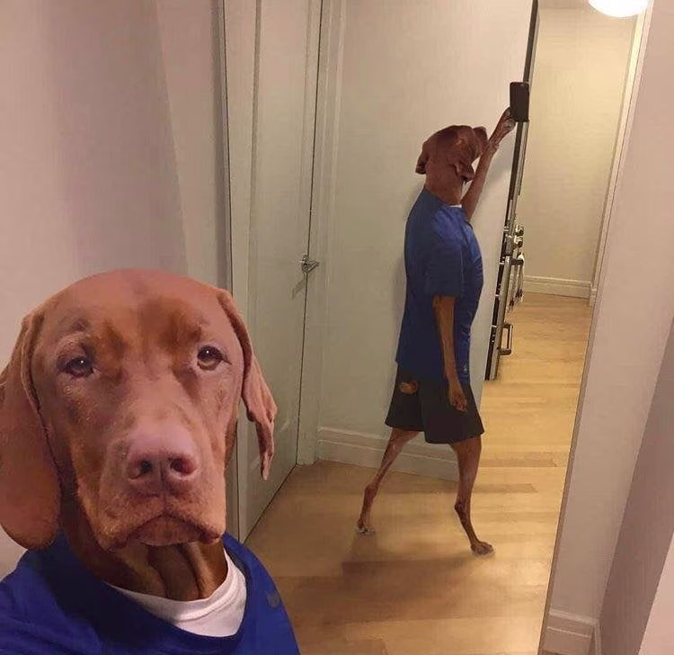 Photo de Björn