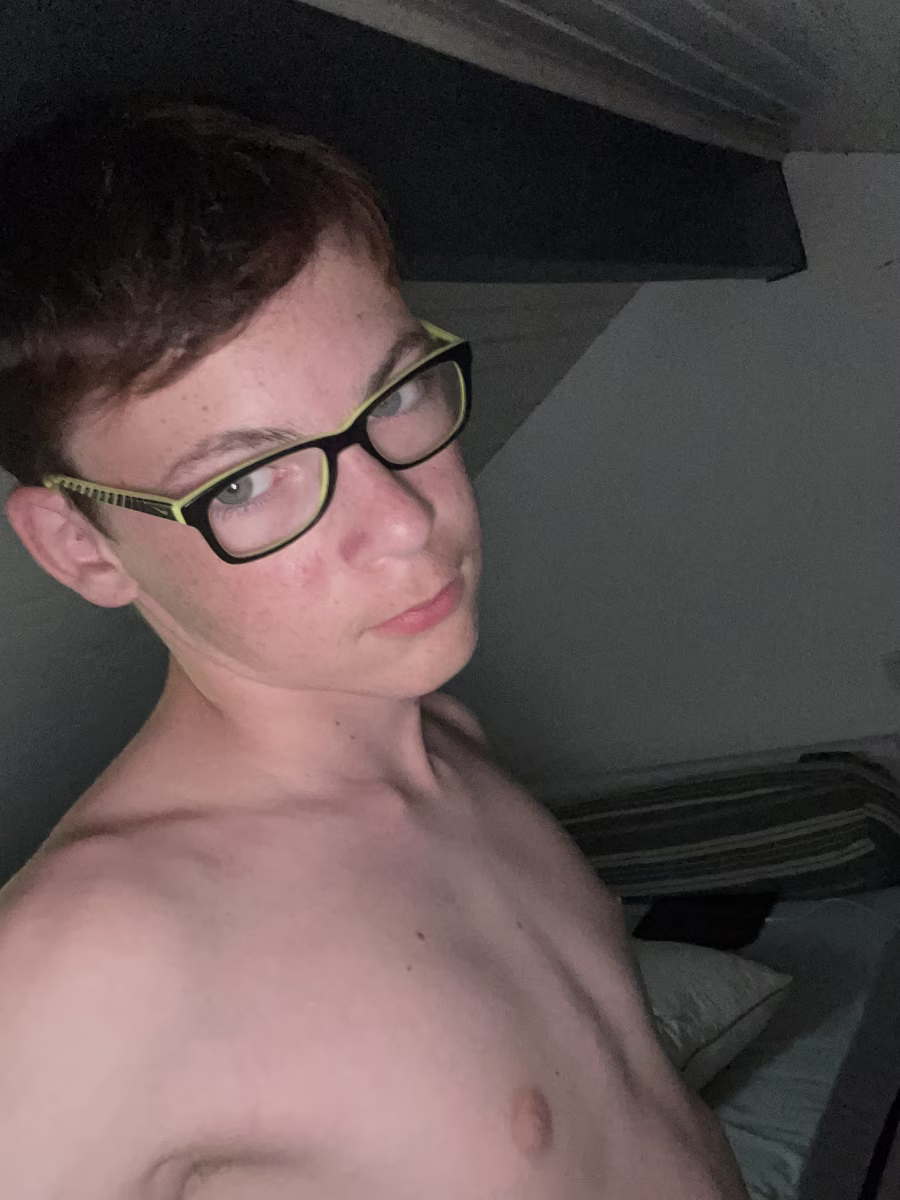 Photo de Robin